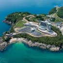 "호텔 상품권으로 항공권 예매한다"…대명소노, 티웨이항공 제휴 확대 이미지