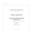 덴탈아트 이미지