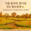 팬플루트(야간) | [양산 가볼만한곳] 2025 양산 황산공원 국화축제 일정·장소·볼거리 총정리
