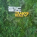 젤라또공대 이미지