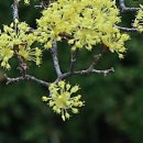 12월25일 크리스마스트레킹 이미지