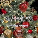 아이티웨딩 박람회 방문 후 아이티앤코 플래너 상담 및 계약 후기