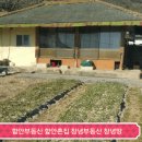 【함안부동산】 함안촌집170평 매매 【창녕부동산】 【창녕촌집】 이미지