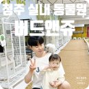 카페 까망토끼 | 청주 실내 동물원 버드앤쥬 아기랑 방문 후기