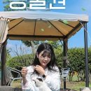 아일랜드플라워카페