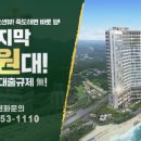 호텔 웨이블런트 양양 이미지