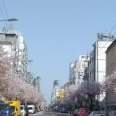 신정중앙로 이미지