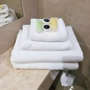 호텔 퀸 | 멜버른 위치 최고 가성비 숙소 아틀란티스 호텔 이용 후기 (feat.이그제큐티브 퀸룸)