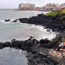 동백LPG충전소 | 12월 제주도 가볼만한곳 10곳 맛있는것도 먹어봅시다
