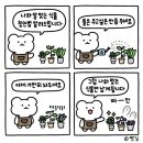테이블가드닝 이미지