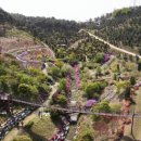 삼선산 수목원 이미지