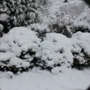 우장산근린공원 이미지