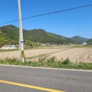 삼산면-7 이미지