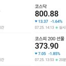 라니 미장