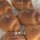 드음 이미지
