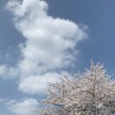 5번로 편의점 | 26년 4월 4일 박효신 콘서트 인천 문학경기장 SR석 2층 N4구역 6열 5번 시야, 관람 후기, 꿀팁