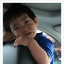 준헌