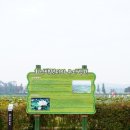 회산백련지 잔디광장 이미지