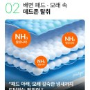 시니어펫 이미지