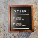 아이비586 이미지