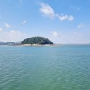 뉴코스모스호 1 이미지