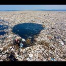 클린업(UP)크리닝 | 바다를 청소하는 기업, 오션 클린업(Ocean clean-up)