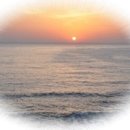 벌교원동 이미지