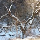 백낙제 플랫하우스 이미지