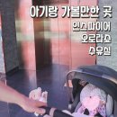 오로라 | 아기랑 인스파이어 오로라쇼 후기(주차, 수유실 총정리)
