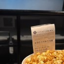 가현뽑기뽑기 이미지