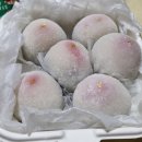라디에이스 이미지
