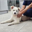 보담동물병원 이미지