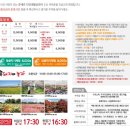 와룡농장 | [취향을 찾아서] 제주 휴애리 - 수국 &amp; 유채꽃 축제