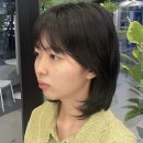 헤어에스티미오 이미지