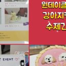 어뮤즈댕 이미지