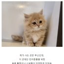 도그마루 강아지고양이 김해창원점 이미지