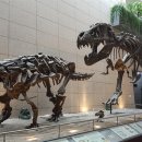 한국지질자원연구원 지질박물관 이미지