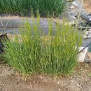 태농농장 이미지