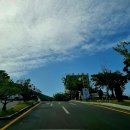 삼안로1R 이미지