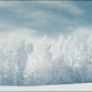 서울종로약국 이미지