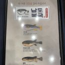 남도복국검단 이미지