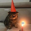 나와라요뽑기# | 내 에어팟 훔쳐 간 놈 나와라 I 2025년을 마무리하며 그리고 2026년을 시작하며