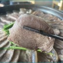 백년육일집 이미지