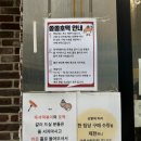 청주 쫄쫄호떡 내돈내산 솔직후기