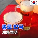 종로3가야장 보다 좋은 [재동맥주] 안국역야장맛집추천 내돈내산 후기