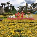 "매년 이맘때쯤 전국에서 모여듭니다" 국내 대표 가을꽃 축제로 자리매김한 주말 나들이 명소 이미지