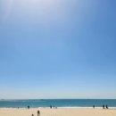 홀리데이 인 밀양 | 밀양순대돼지국밥 부산본점 | 부산 24시간 국밥 | 부산맛집 | 해운대 맛집 | 부산돼지국밥 | 부산여행