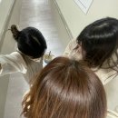 미도아파트(남)경로당 | 온 세상이 한화다.. 🦅🧡 미도니의 10월 이글스 일상