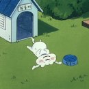 쿄다이 이미지