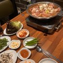 고려대생 추천! 안암 팔백집 쫄갈비 맛집 후기 술 2,500원 이벤트 꿀팁